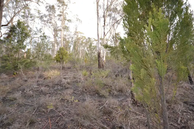 Third view of Homely land listing, 572 Huntingdon Tier Road, Bagdad TAS 7030