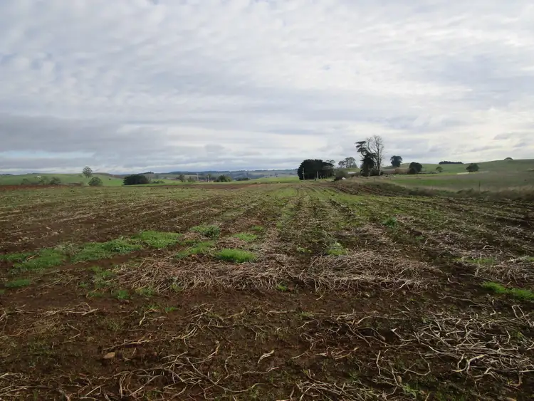 Fourth view of Homely rural property listing, 921 Pine Road, Riana TAS 7316