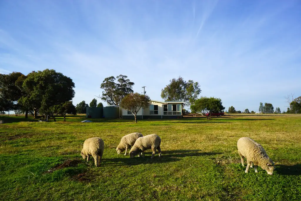 Main view of Homely house listing, 24L Cooreena Road, Dubbo NSW 2830