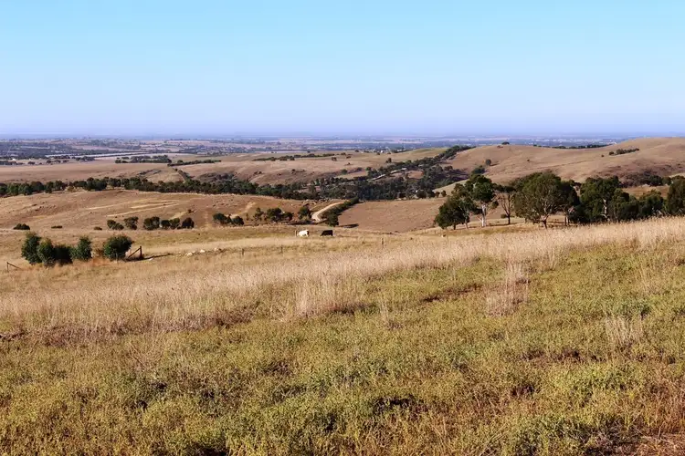 Third view of Homely rural property listing, 195 Scrubby Hill Road, Highland Valley SA 5255