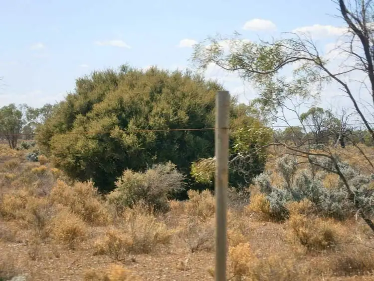 Second view of Homely rural property listing, Lot 37 McKay Road, Blanchetown SA 5357