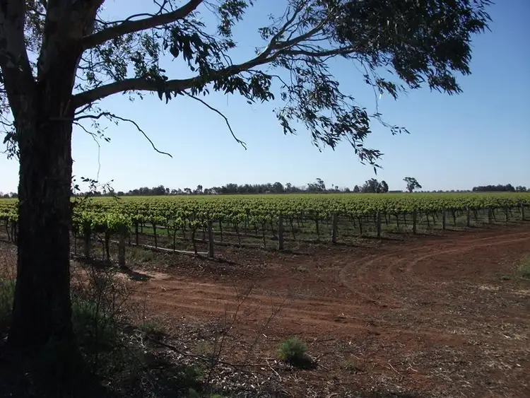 Seventh view of Homely rural property listing, 199A Little Road, Hanwood NSW 2680