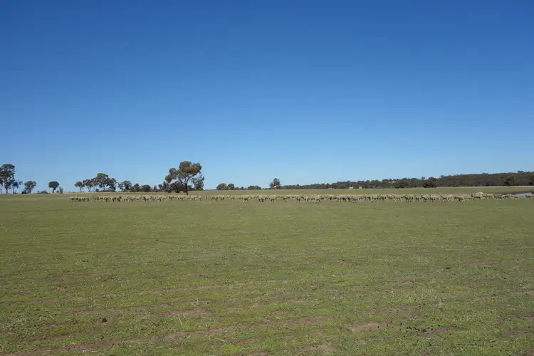 Second view of Homely rural property listing, Lot 4 Noble Road, Arthur River WA 6315