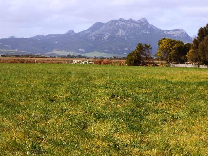 109166/1 Robert Street, Whitemark, Flinders Island TAS 7255