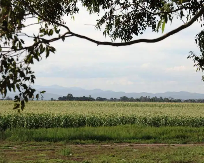 Seventh view of Homely house listing, 39 Deary's Lane, Maffra VIC 3860