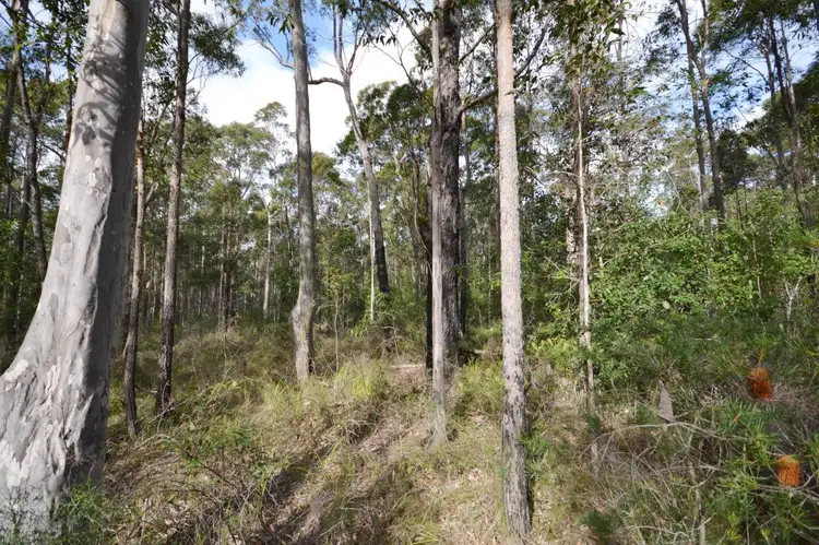 Fifth view of Homely land listing, Lot 4 Tom Davis Road, Tomerong NSW 2540