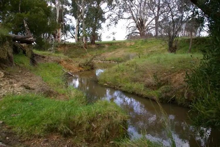 Seventh view of Homely rural property listing, 280 Shaws road, Merton VIC 3715