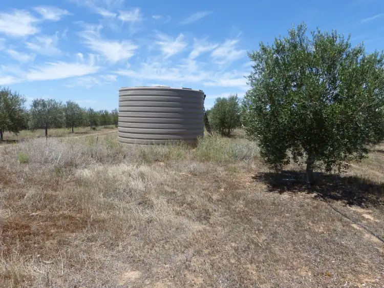 Third view of Homely rural property listing, 848 Wurfel Road, Pinnaroo SA 5304