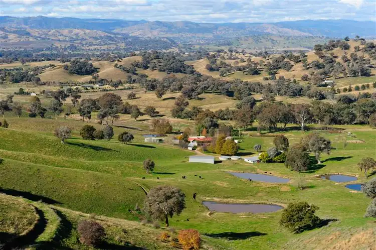 Third view of Homely rural property listing, 1/178 Smarts Road "Hapajaka", Tumut NSW 2720