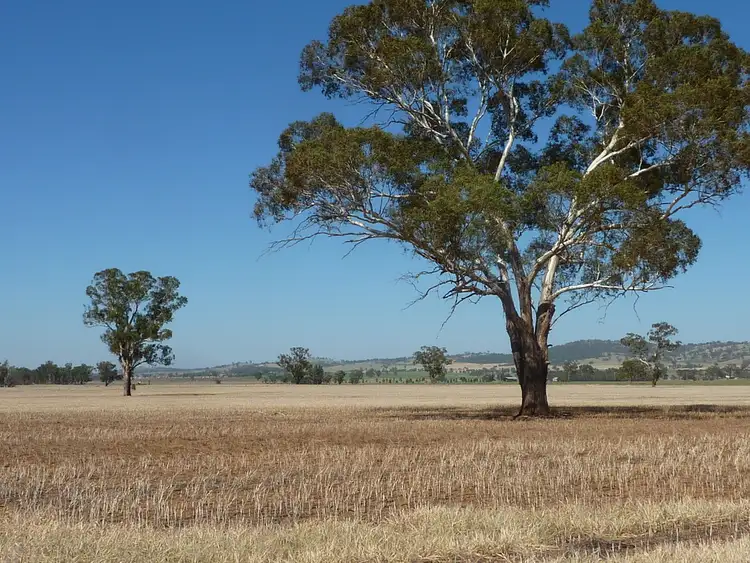 Fourth view of Homely rural property listing, 300 Hatwells Crossing Road, Wagga Wagga NSW 2650