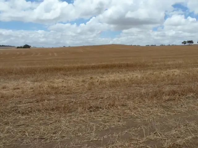 Fifth view of Homely rural property listing, 'Fernleigh' Great Southern Highway, York WA 6302