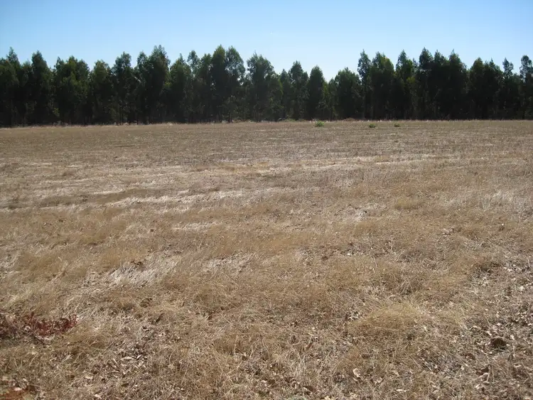 Second view of Homely rural property listing, Lot 55/16 Chester Road, Mount Barker WA 6324