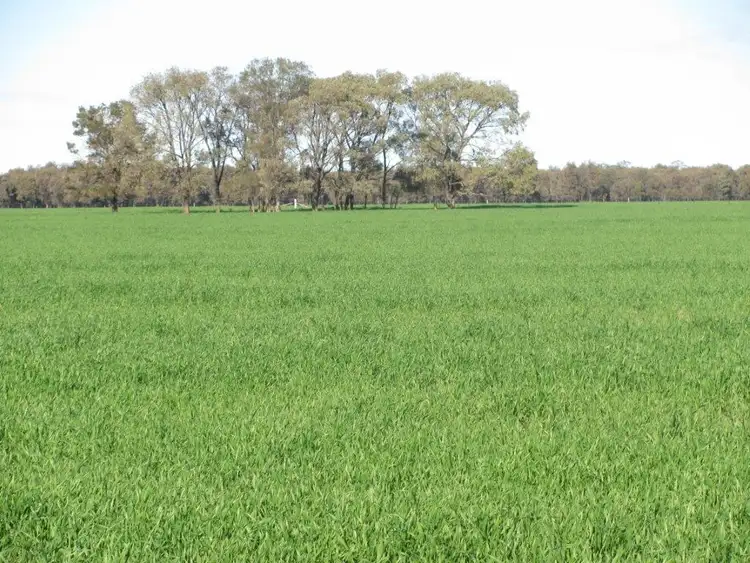 Fourth view of Homely rural property listing, 497 Nuable Road, Bohena Creek NSW 2390