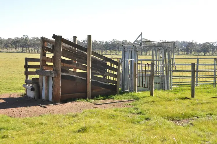 Fourth view of Homely rural property listing, 345 Angle Rd, Murchison VIC 3610