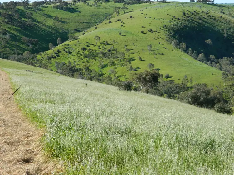 Fourth view of Homely land listing, Lots 36 & 40 Riggs Road, Bibaringa SA 5118