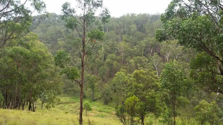 Fourth view of Homely rural property listing, 1715 Kangaroo Flat Road, Yarrowitch NSW 2354