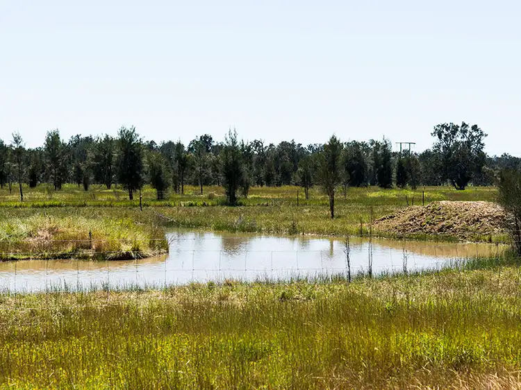 Third view of Homely rural property listing, 1484 Kargotich Rd, Mardella WA 6125