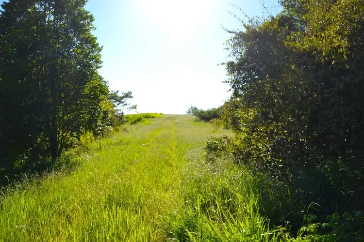 Third view of Homely rural property listing, Address available on request