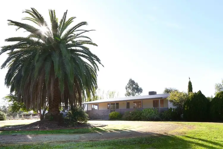 Second view of Homely rural property listing, 150 Vance Road, Leeton NSW 2705