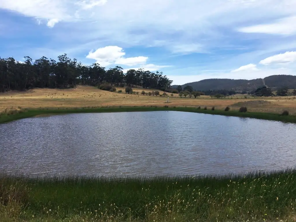 Main view of Homely rural property listing, 3308 Tasman Highway, Orielton TAS 7172