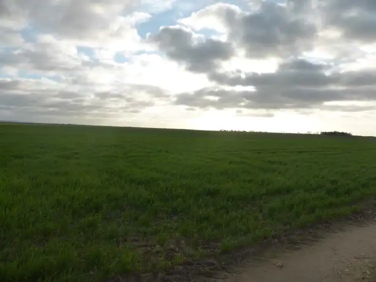 Third view of Homely rural property listing, 571 Kangaroo Road, Langhorne Creek SA 5255