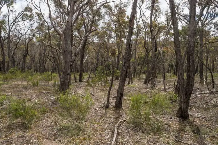 Fifth view of Homely land listing, Lot 31 Tantaus Road, Dereel VIC 3352