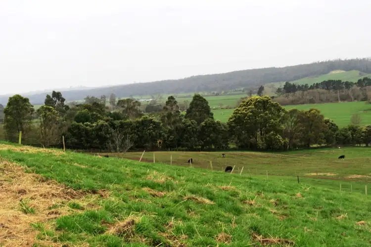 Fourth view of Homely rural property listing, 1540 Railton Road, Merseylea TAS 7305