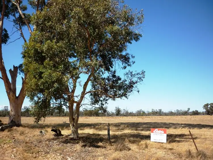 Lot 197 Murdong Road, Katanning WA 6317