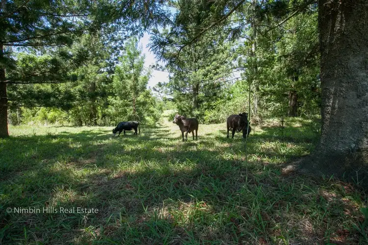 Sixth view of Homely rural property listing, 357 Stony Chute Road, Nimbin NSW 2480