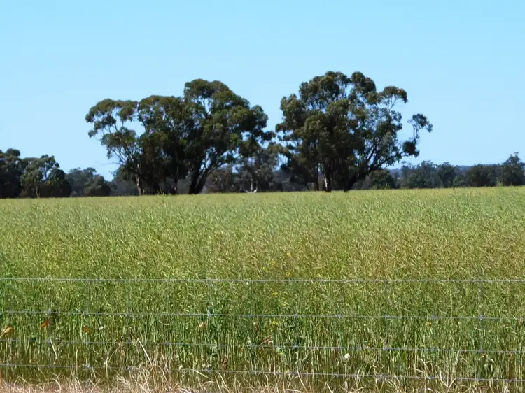 Lot 7339 Mission Road, Kojonup WA 6395