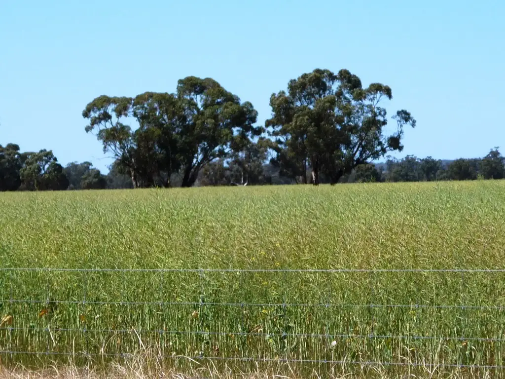 Main view of Homely rural property listing, Lot 7339 Mission Road, Kojonup WA 6395