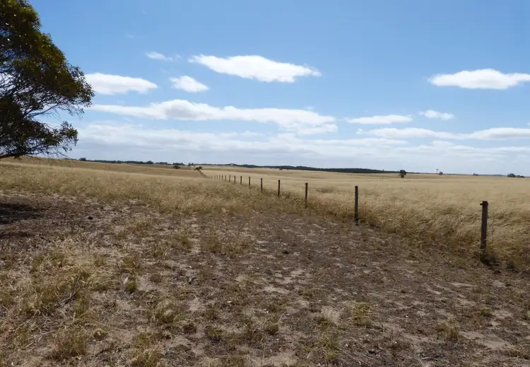 Fourth view of Homely rural property listing, 1845 Pinnaroo-Bordertown Rd, Pinnaroo SA 5304