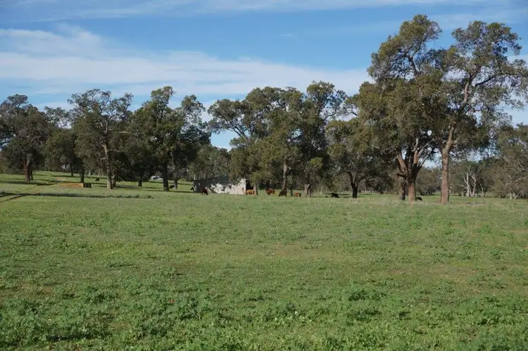 Second view of Homely house listing, 2390 "Caren Caren Brook' Walyer Walyer Rd, Dandaragan WA 6507