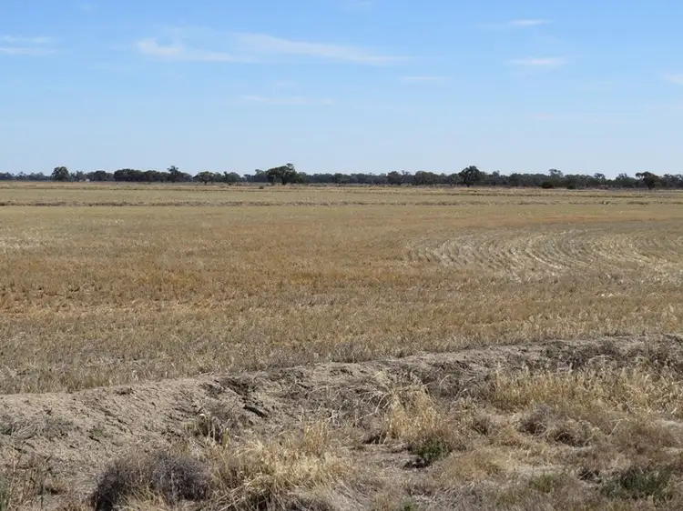 Fifth view of Homely rural property listing, "Corraleigh" Merriginnie Lane, Wakool NSW 2710