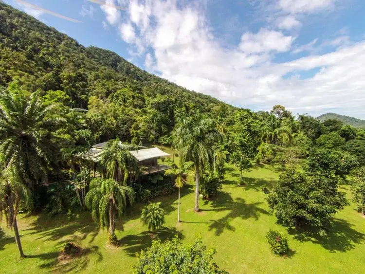 Seventh view of Homely house listing, 138 George Road, Daintree QLD 4873