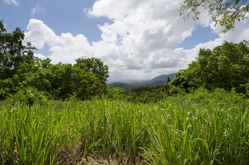 Main view of Homely land listing, 187 Ian Reddacliff Drive, The Leap QLD 4740