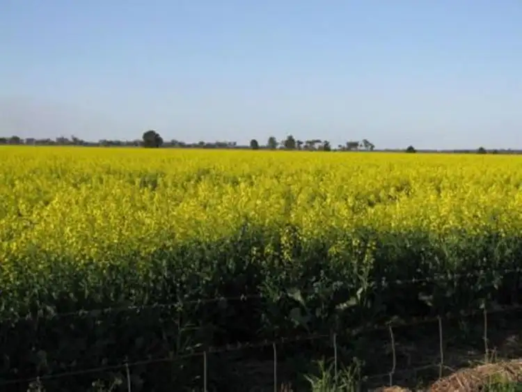 Fourth view of Homely rural property listing, 2764 McGrane Way, Narromine NSW 2821