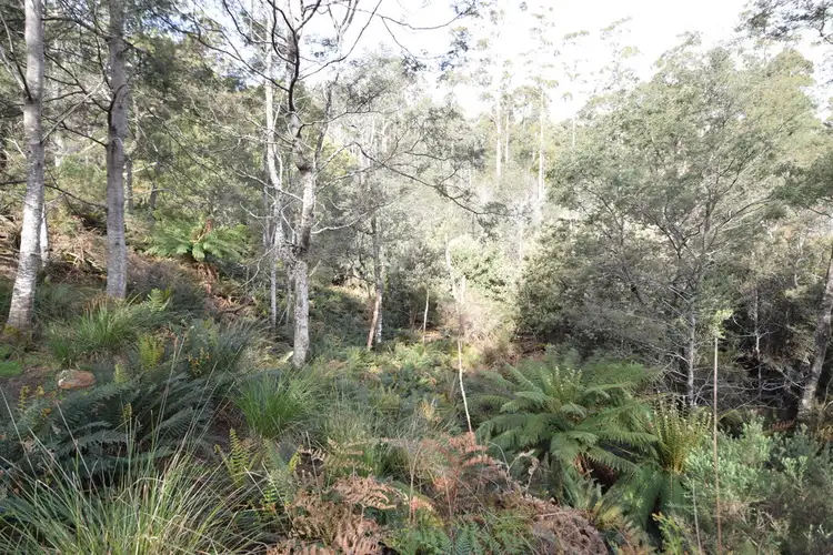 Fourth view of Homely land listing, 473 Priestleys Lane, Birralee TAS 7303