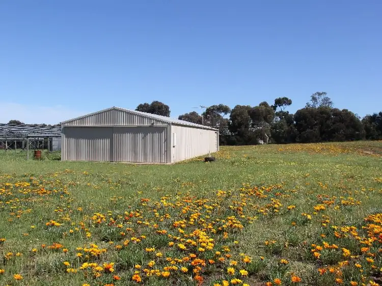 Second view of Homely house listing, 81 Tooma Road, Murray Bridge SA 5253