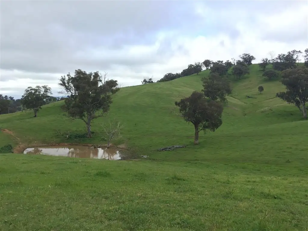 Main view of Homely rural property listing, 3938 Snowy Mountains Highway, Adelong NSW 2729