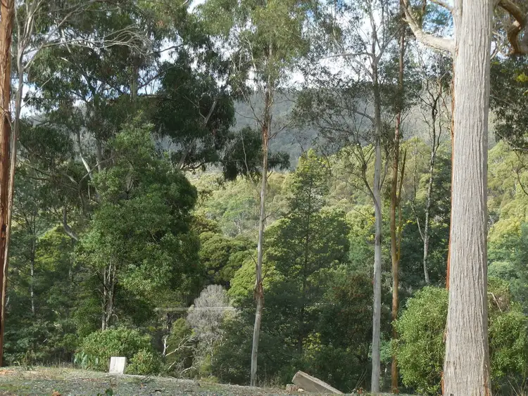 Fourth view of Homely land listing, 10 Burns Road, Wyena TAS 7254