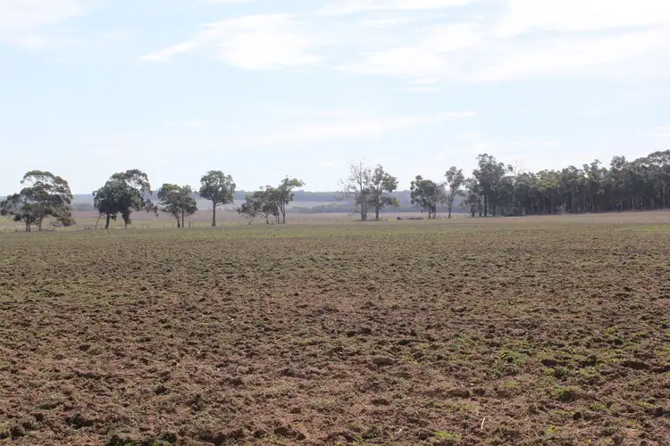 Main view of Homely rural property listing, Lot 819 Halsey Road, Mount Barker WA 6324