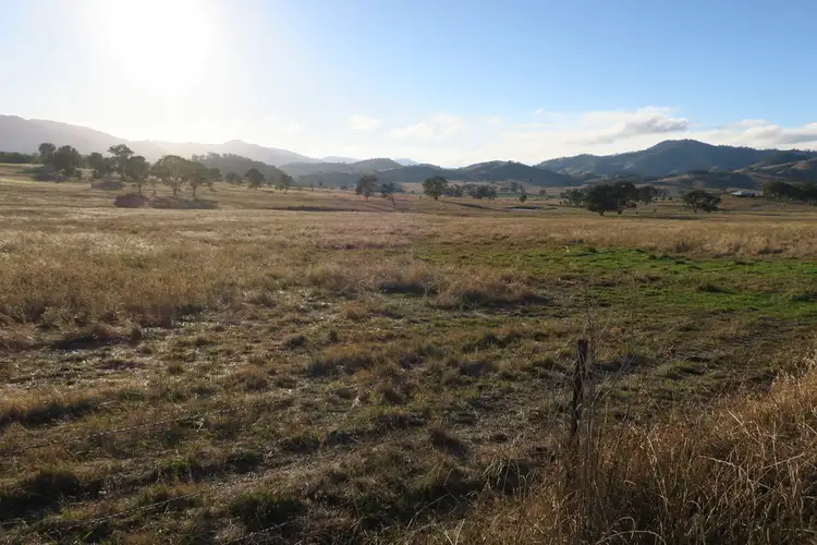 399 Queens Pinch Road, Mudgee NSW 2850