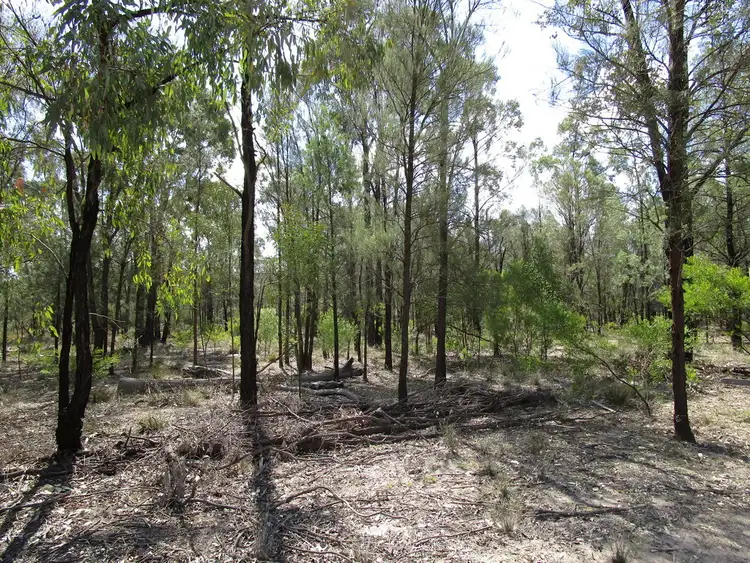 Seventh view of Homely rural property listing, 185 OLD PERTH ROAD, Tara QLD 4421