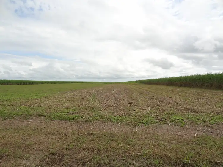 Third view of Homely land listing, 139 Dunnrock Road, Chelona QLD 4740
