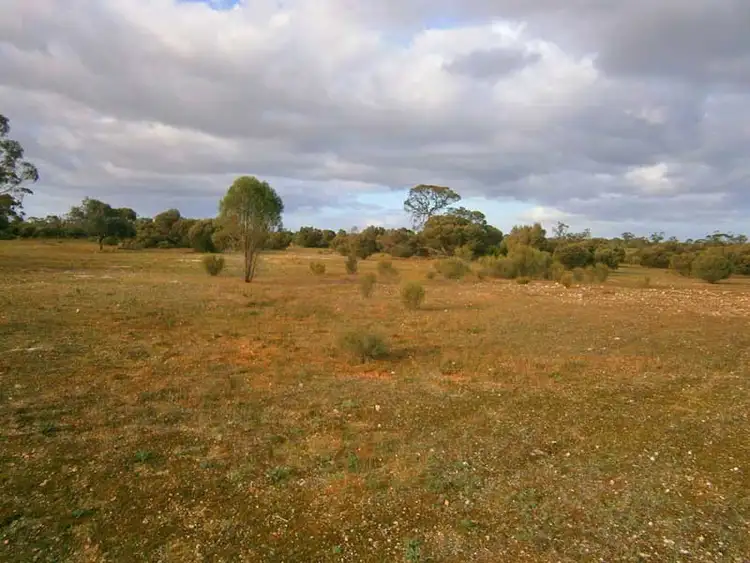 Second view of Homely rural property listing, Section 208 & 209 Stott Highway, Swan Reach SA 5354