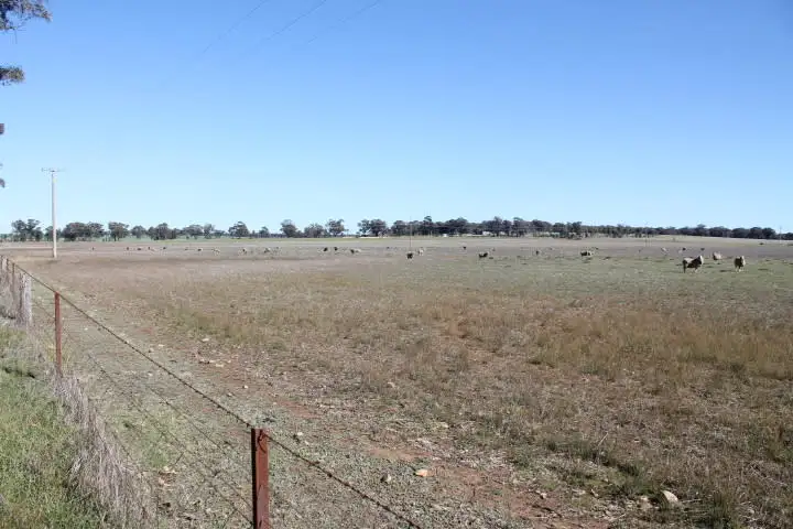 Fourth view of Homely rural property listing, Address available on request