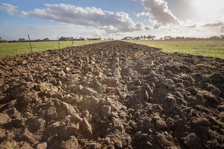 Sixth view of Homely rural property listing, 24244 Princes Highway, Lucindale SA 5272