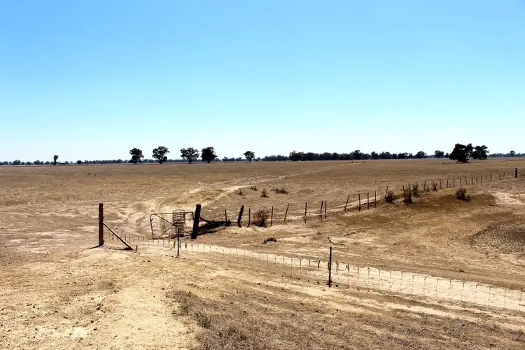 Sixth view of Homely rural property listing, 458 McCurdies Lane, Savernake NSW 2646