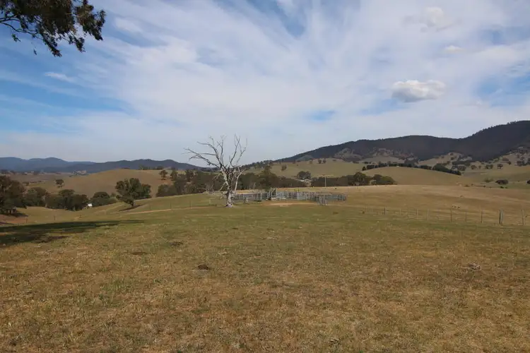 Fifth view of Homely rural property listing, 5011 Great Alpine Road, Ensay VIC 3895